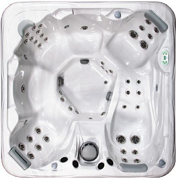 Спа бассейн Artesian Spas 748L DELUXE CLASS